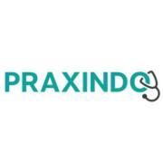 Praxindo GmbH logo